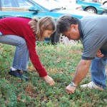 Dad & Jocelyn searching for weed sprouts.